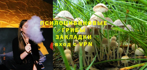 каннабис Аркадак
