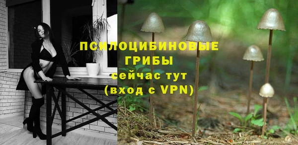 ГАЛЛЮЦИНОГЕННЫЕ ГРИБЫ Армянск