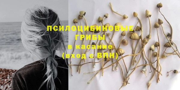 ГАЛЛЮЦИНОГЕННЫЕ ГРИБЫ Армянск
